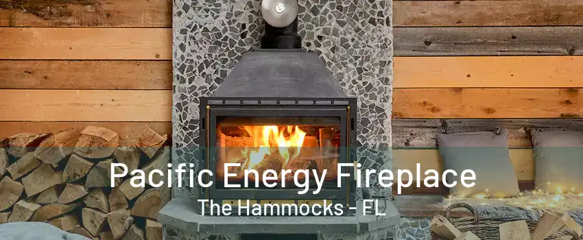 Pacific Energy Fireplace The Hammocks - FL