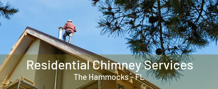 Residential Chimney Services The Hammocks - FL