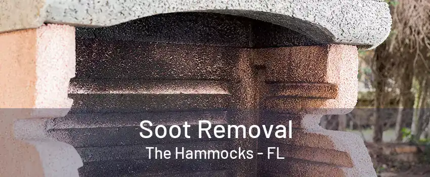 Soot Removal The Hammocks - FL