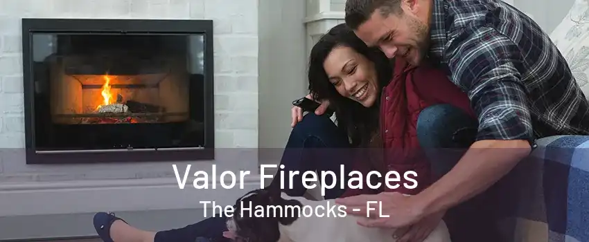 Valor Fireplaces The Hammocks - FL