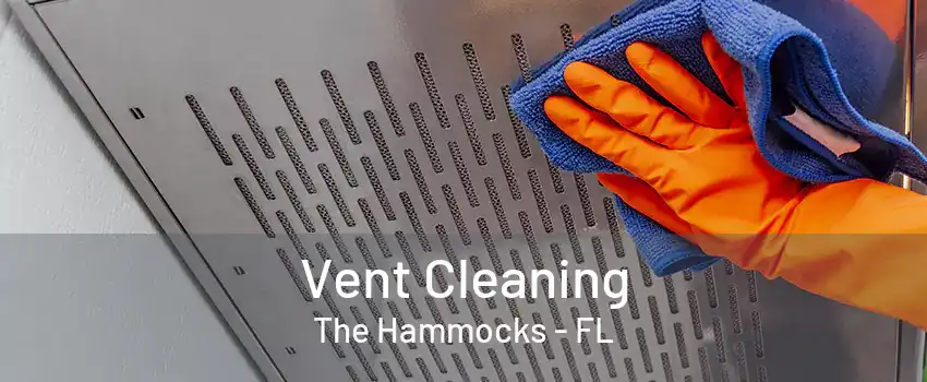 Vent Cleaning The Hammocks - FL