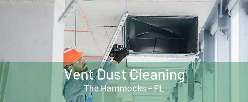 Vent Dust Cleaning The Hammocks - FL