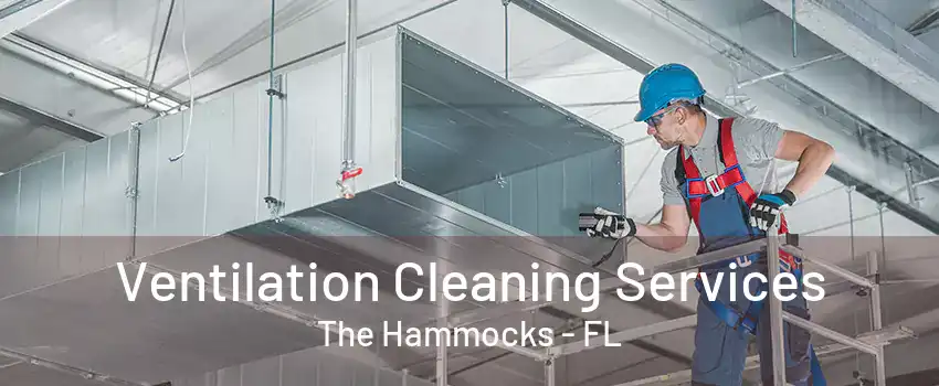 Ventilation Cleaning Services The Hammocks - FL