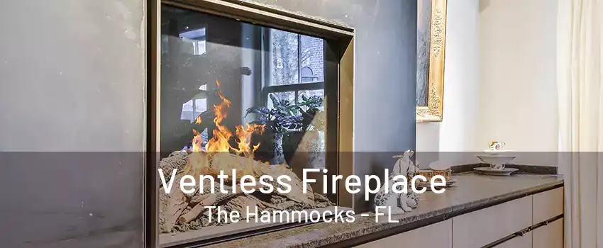 Ventless Fireplace The Hammocks - FL