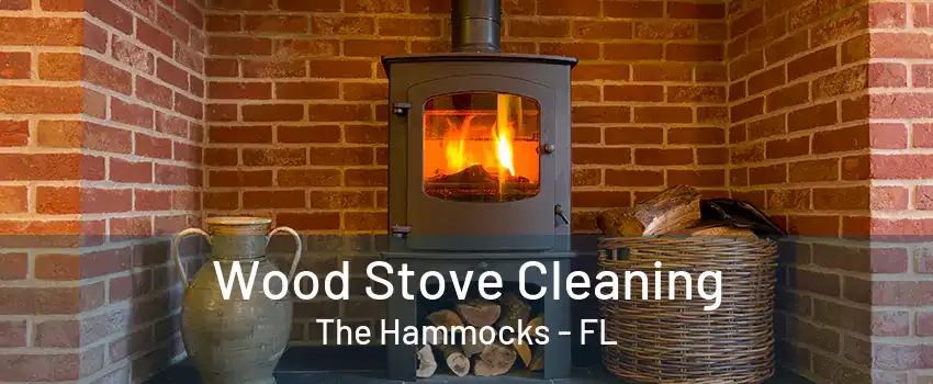 Wood Stove Cleaning The Hammocks - FL